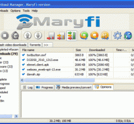 Free Download Manager